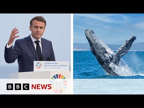 ‘oceans-are-not-for-sale’,-says-french-president-emmanuel-macron-|-bbc-news