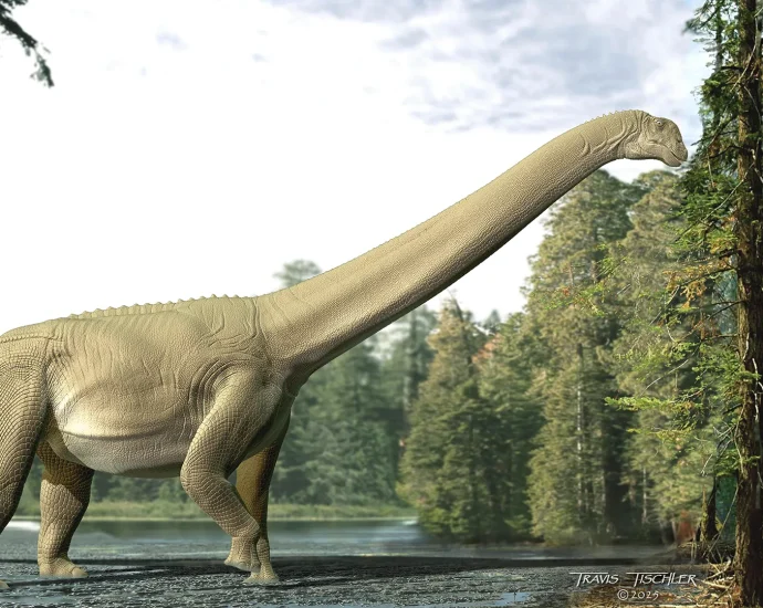 what-a-dinosaur-ate-100-million-years-ago—preserved-in-a-fossilized-time-capsule