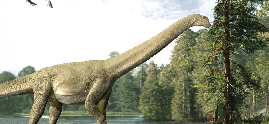 what-a-dinosaur-ate-100-million-years-ago—preserved-in-a-fossilized-time-capsule