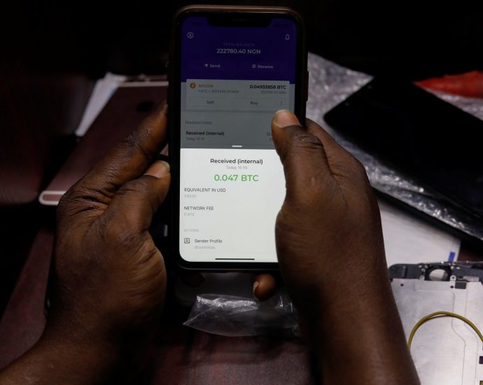 ‘i-invested-in-a-ponzi-scheme’:-nigerians-fall-victim-to-crypto-scams