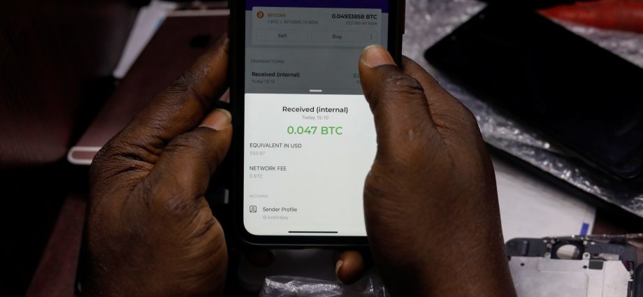‘i-invested-in-a-ponzi-scheme’:-nigerians-fall-victim-to-crypto-scams