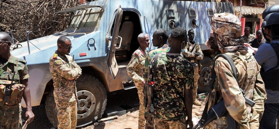 sudan’s-paramilitary-rsf-say-they-seized-key-zone-bordering-egypt,-libya