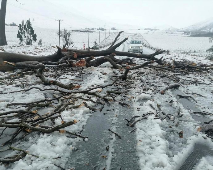 at-least-49-dead-in-south-africa-flooding,-students-washed-away-in-bus