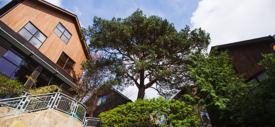 in-seattle,-preserving-trees-while-increasing-housing-supply-is-a-climate-solution
