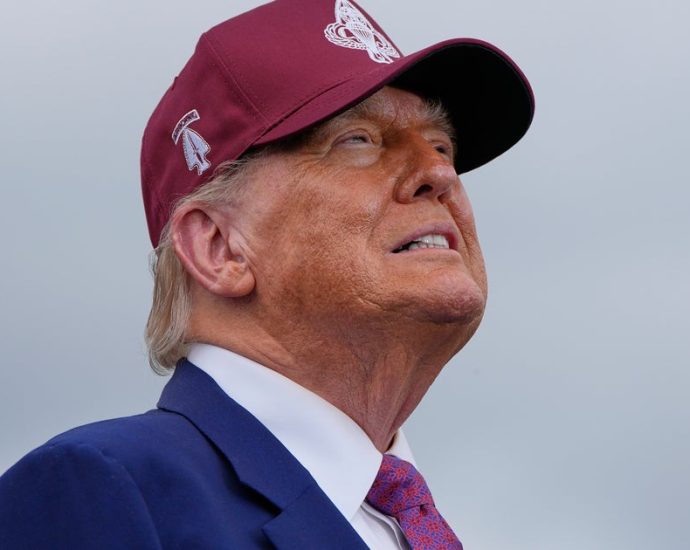 appeals-court-lets-the-traitor-administration-keep-collecting-tariffs-while-challenges-continue
