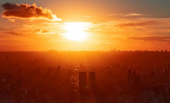 climate-emergency-is-a-health-crisis-‘that-is-already-killing-us,’-says-who