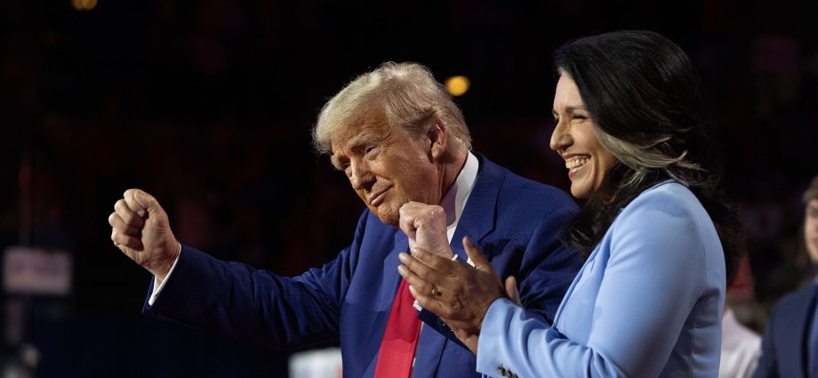 “who-is-funding-these-protestors?”:-gabbard,-the-traitor-spread-conspiracy-theory-about-paid-demonstrators