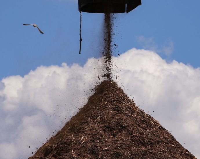 In California, a biomass company’s expansion raises fears of more fires