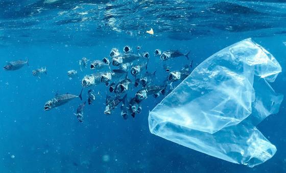 global-push-to-end-plastic-pollution-gains-ground-in-nice