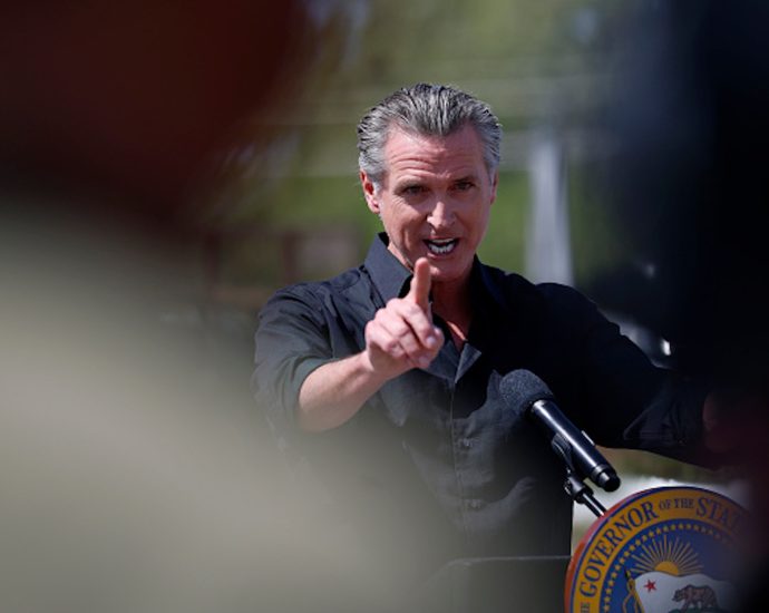 gavin-newsom-rediscovers-fighting-maga-is-popular