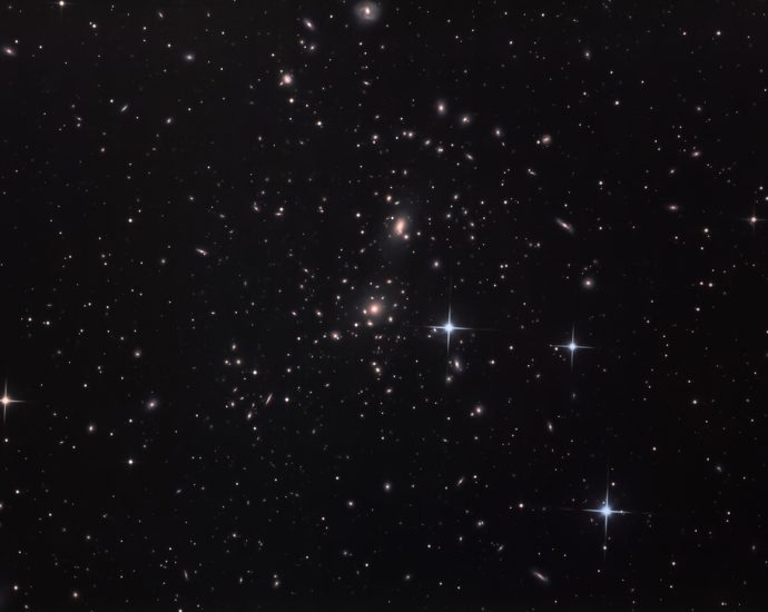 A Jellyfish Galaxy With Bunny Ears Wades Through Space 300 Million Light-Years Away