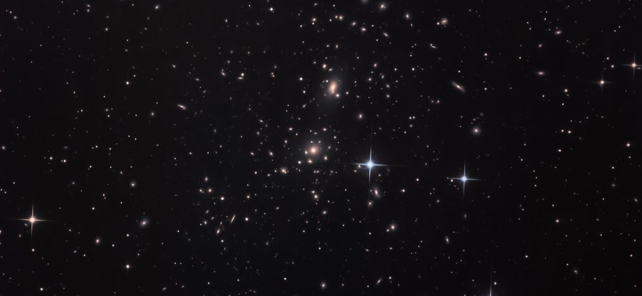 A Jellyfish Galaxy With Bunny Ears Wades Through Space 300 Million Light-Years Away