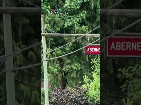 bc.-woman-attacked-by-bear-in-backyard