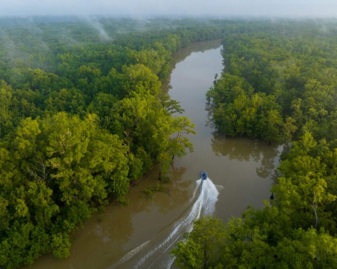 saved-from-the-saw:-conservation-deal-spares-8,000-acres-of-sensitive-land-in-alabama-from-becoming-a-wood-pellet-mill
