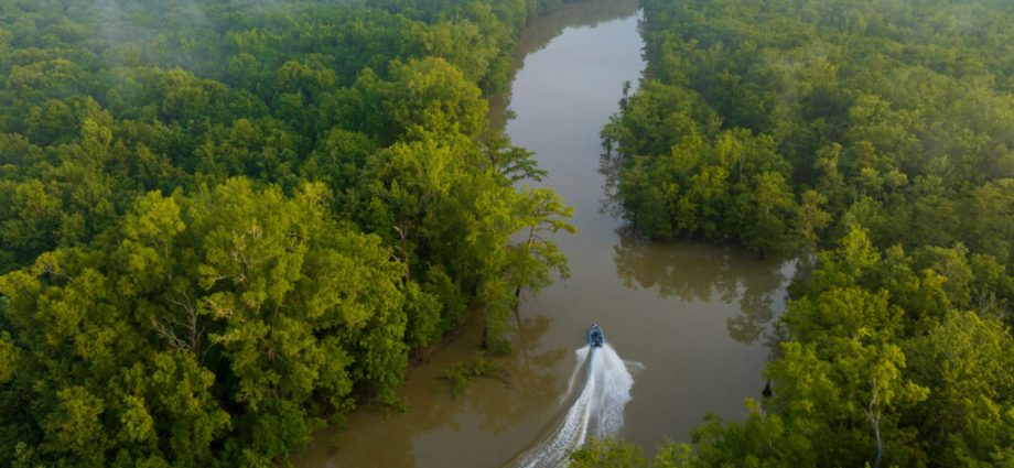 saved-from-the-saw:-conservation-deal-spares-8,000-acres-of-sensitive-land-in-alabama-from-becoming-a-wood-pellet-mill