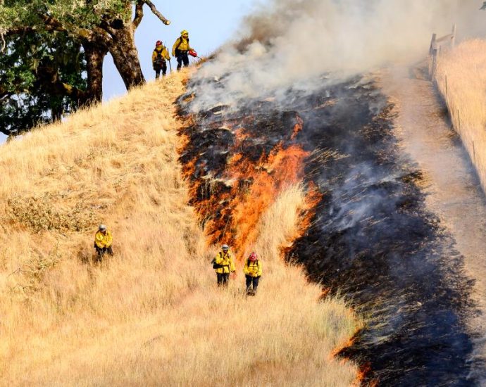 we-set-a-big-chunk-of-california-wilderness-on-fire.-you’re-welcome