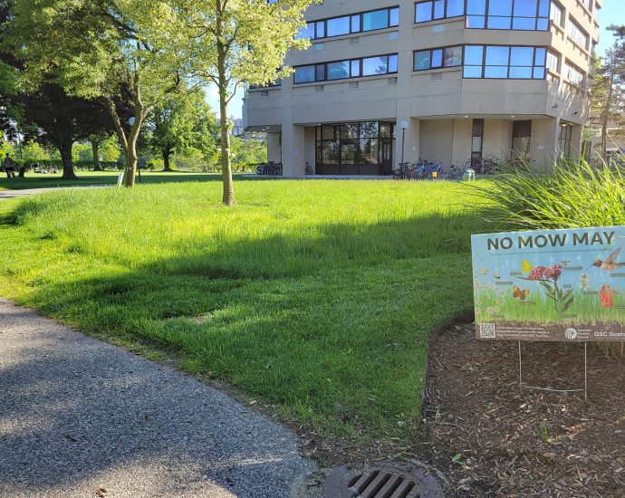 students-and-staff-work-together-for-mit’s-first-“no-mow-may”