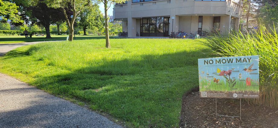 students-and-staff-work-together-for-mit’s-first-“no-mow-may”