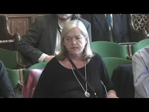 live:-author-of-‘grooming-gangs’-report-addresses-british-parliamentary-committee
