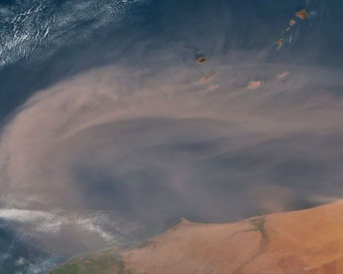 Giant ‘Saharan dust’ plume swirls around Africa a week before it hit Florida — Earth from space