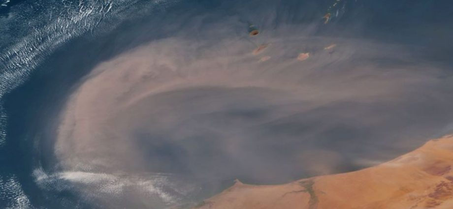 Giant ‘Saharan dust’ plume swirls around Africa a week before it hit Florida — Earth from space