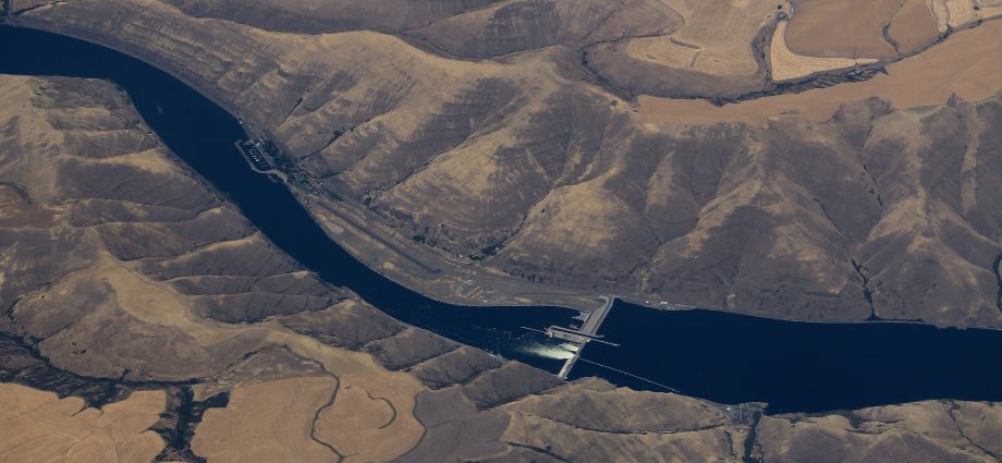 the-traitor-quits-deal-with-northwest-tribes-to-restore-salmon