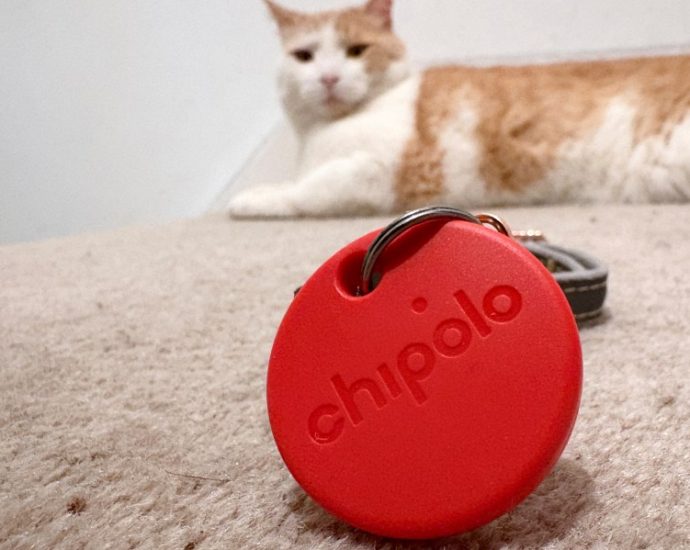 one-tech-tip:-no-more-lost-cats-and-dogs.-use-tech-to-track-your-pet