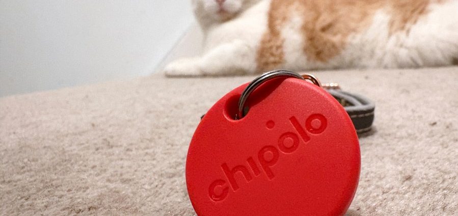 one-tech-tip:-no-more-lost-cats-and-dogs.-use-tech-to-track-your-pet