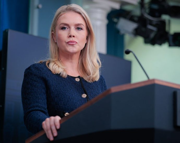 the-traitor-press-secretary-ignores-two-key-questions-on-iran-strike-plans