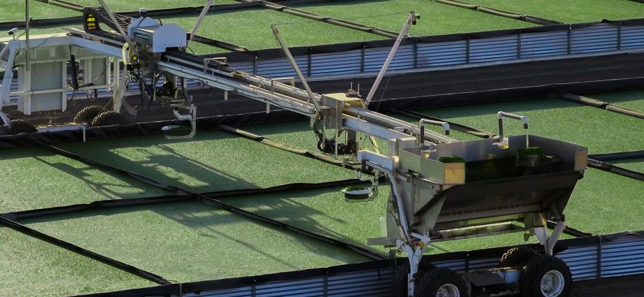 startup-helps-farmers-grow-plant-based-feed-and-fertilizer-using-wastewater