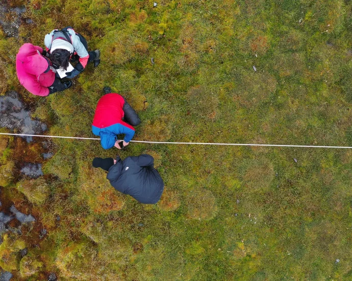 hidden-carbon-giants:-satellite-data-reveals-a-40-year-arctic-peatland-surge