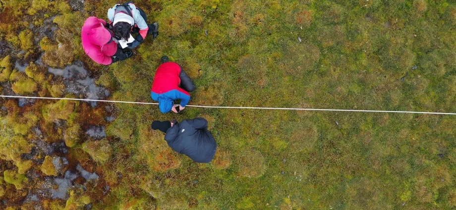 hidden-carbon-giants:-satellite-data-reveals-a-40-year-arctic-peatland-surge