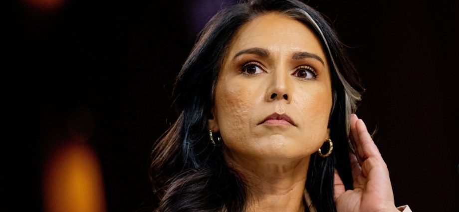 the-traitor-shuts-down-tulsi-gabbard-on-iran:-‘she’s-wrong’