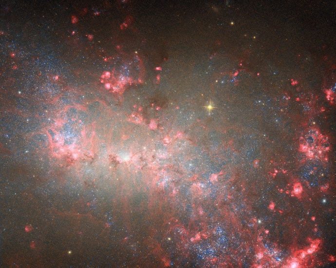 Hubble Studies Small but Mighty Galaxy