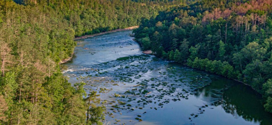 alabama-environmental-groups-secure-rare-win-in-fight-to-update-water-toxicity-standards