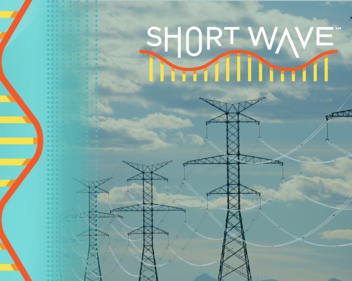 what’s-plaguing-america’s-power-grid?