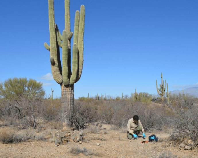what-sonoran-desert-fungi-are-teaching-scientists