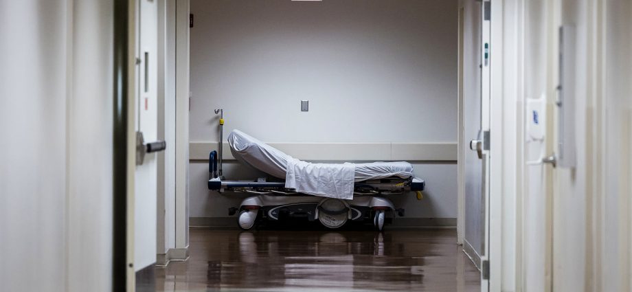 hundreds-of-international-doctors-due-to-start-medical-residencies-are-in-visa-limbo