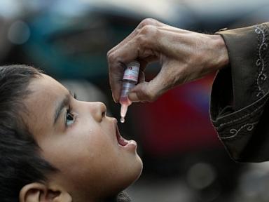 global-vaccination-efforts-stall,-leaving-millions-vulnerable-to-preventable-diseases