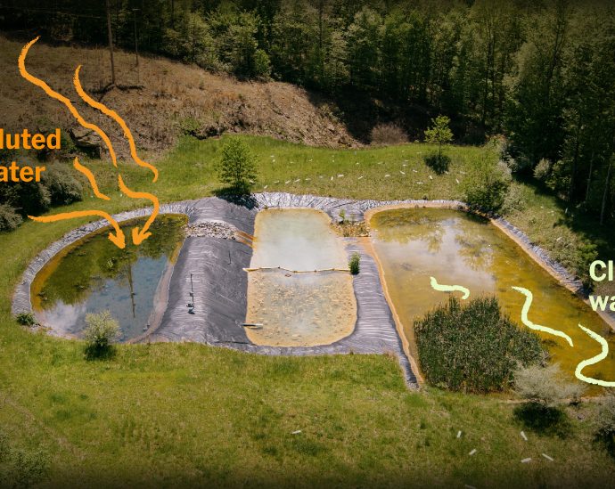 streams-were-dying-in-west-virginia-here’s-how-they’re-coming-back.