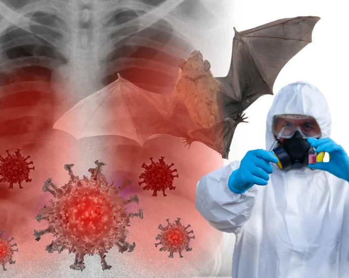 new-viruses-discovered-in-bats-in-china-could-be-the-next-pandemic-threat