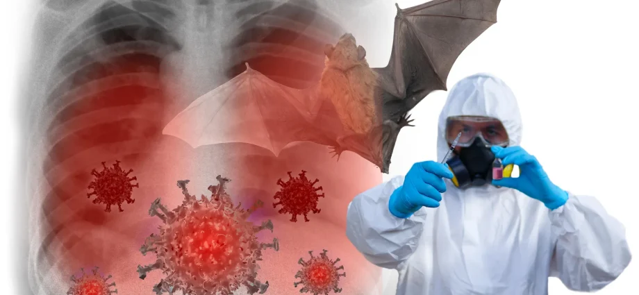 new-viruses-discovered-in-bats-in-china-could-be-the-next-pandemic-threat
