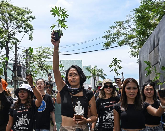 thailand-moves-to-recriminalize-cannabis,-shaking-$1-billion-industry