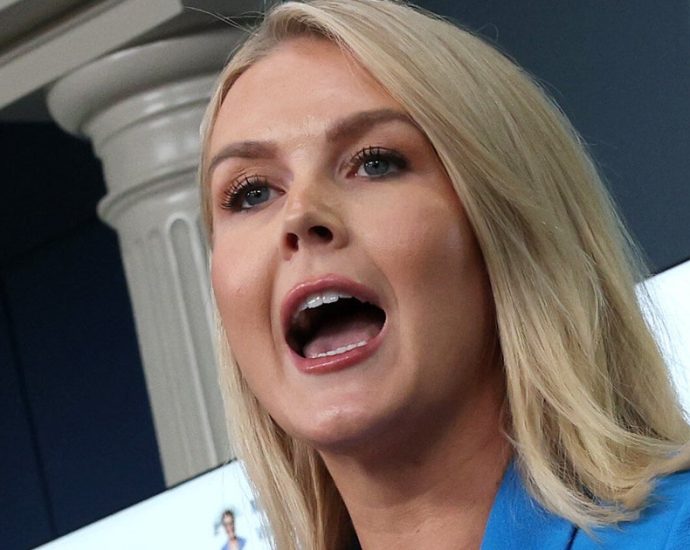 ‘pure-shamelessness’:-critics-rip-karoline-leavitt’s-‘dangerous’-new-lie-for-the-traitor