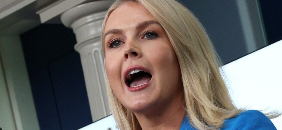 ‘pure-shamelessness’:-critics-rip-karoline-leavitt’s-‘dangerous’-new-lie-for-the-traitor