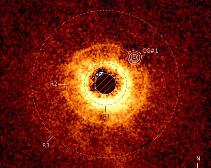 James Webb Space Telescope Captures Smallest Exoplanet Ever Seen in Historic First