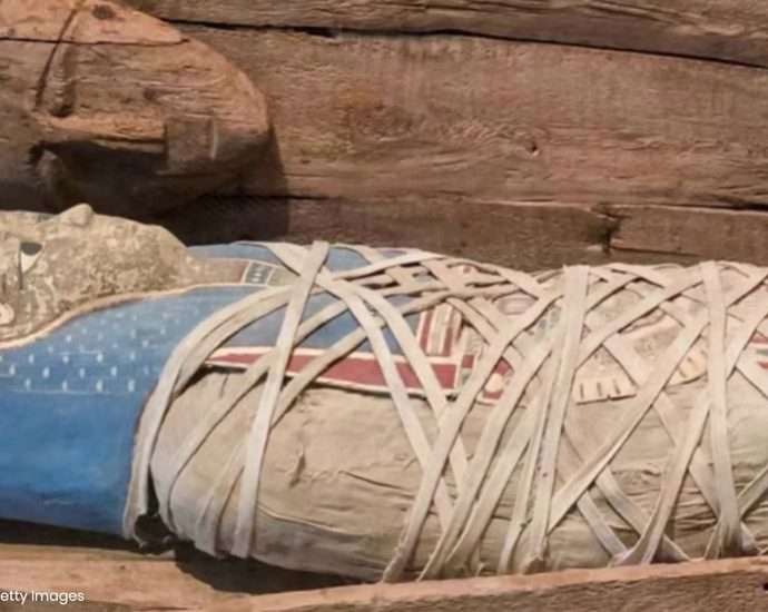 unexpected-discovery-in-ancient-tomb-could-‘help-fight-cancer’
