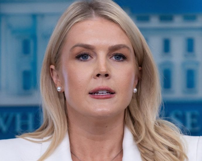 karoline-leavitt’s-‘have-to-save-face’-jab-instantly-backfires