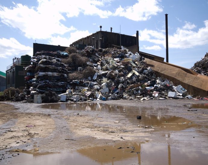 go-local-to-save-the-environment