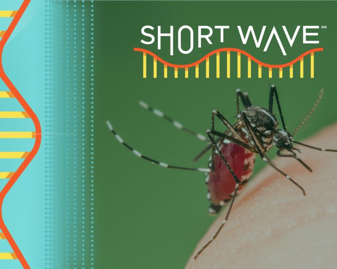 climate-change-could-be-great-for-mosquitoes
